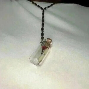 Vintage message in Bottle Treasure Chest Necklace Miniblings Geheimnis Glass